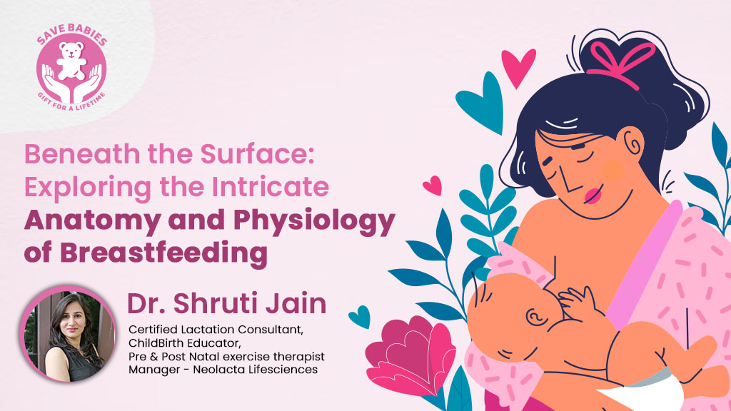 Beneath the Surface - Exploring the Intricate Anatomy and Physiology of Breastfeeding
